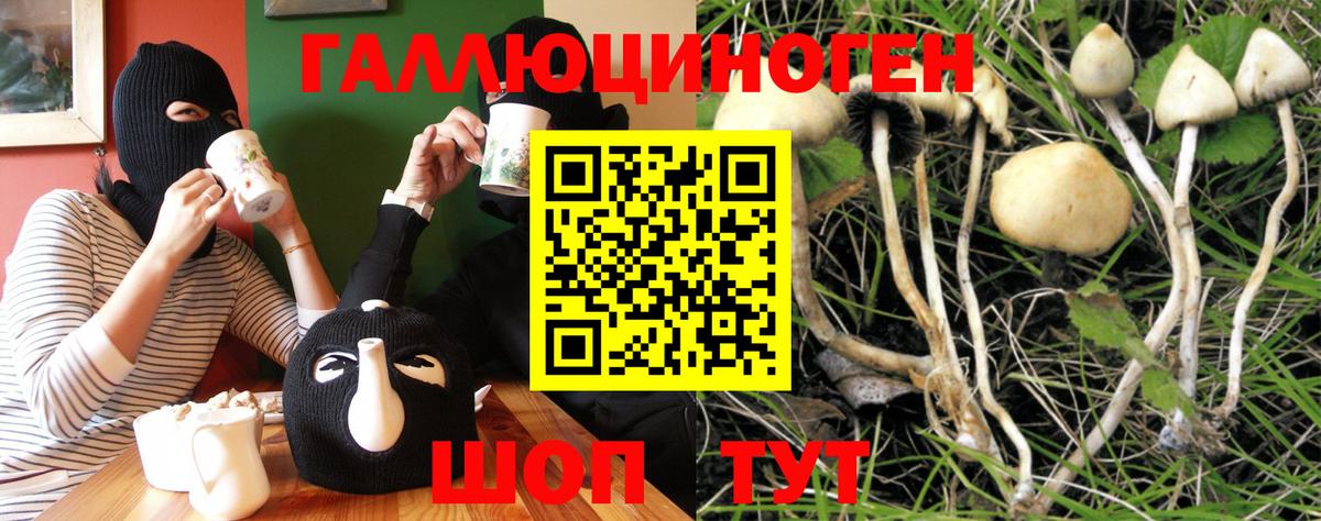 Галлюциногенные грибы мухоморы  Псилоцибиновые грибы Psilocybine cubensis  где найти наркотики  Алексин  Вход с VPN 