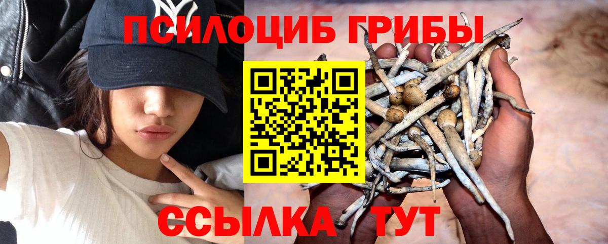 Галлюциногенные грибы MAGIC MUSHROOMS Алексин